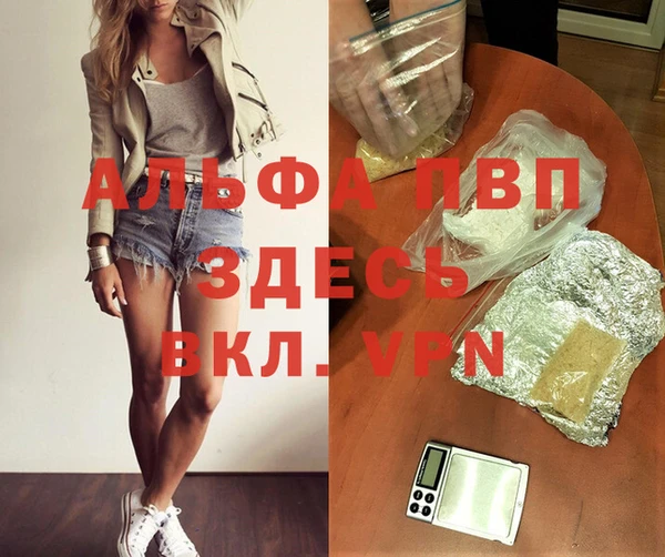 мдпв Новозыбков