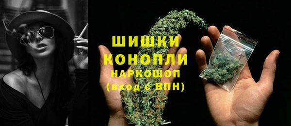 хмурый Няндома