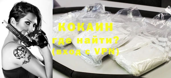хмурый Няндома