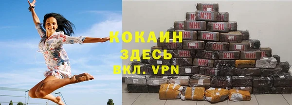 мдпв Новозыбков