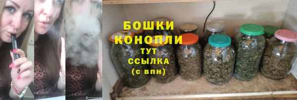 мдпв Новозыбков