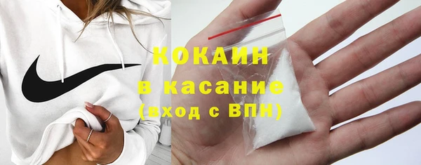 хмурый Няндома