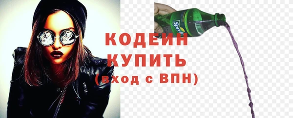 хмурый Няндома