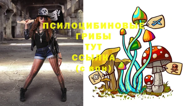 MDMA Premium VHQ Новодвинск