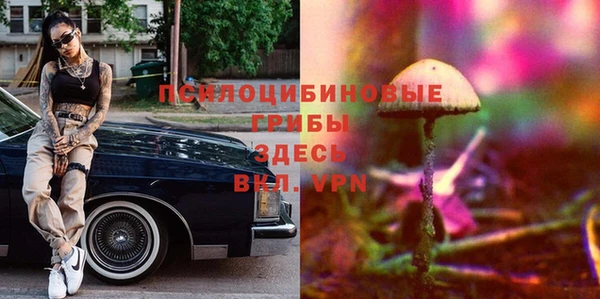 хмурый Няндома
