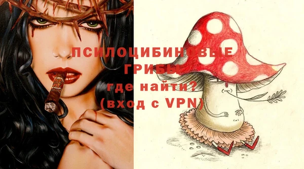 мдпв Новозыбков