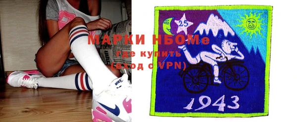 мдпв Новозыбков