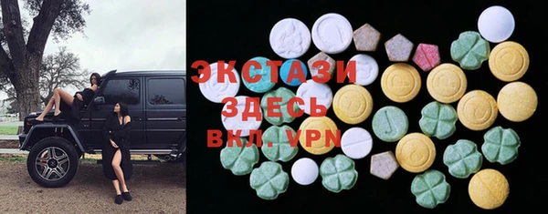 мдпв Новозыбков