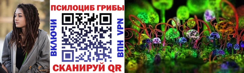 Псилоцибиновые грибы мицелий  Изобильный 