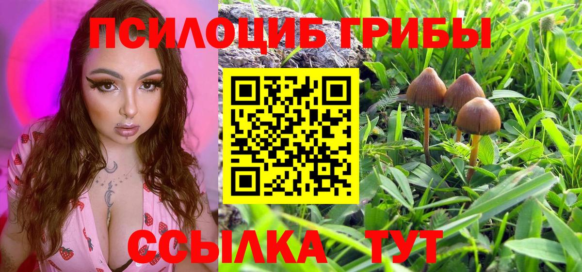 Псилоцибиновые грибы Psilocybine cubensis  что такое наркотик  Изобильный  Вход с VPN 