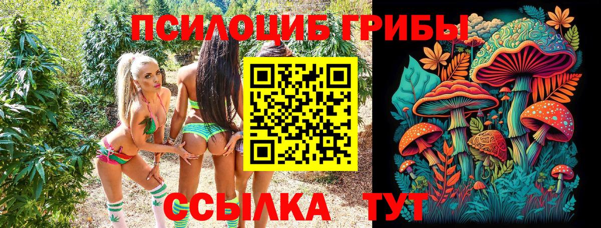 Псилоцибиновые грибы мицелий Изобильный